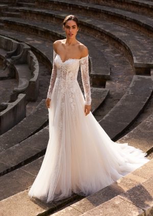daphe pronovias tulle lace wedding dress dropped waist A-line bardot off the shoulder long sleeves bridal ireland